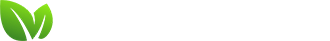 Зелёный Свет